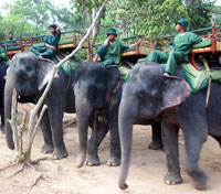 Chiang Rai